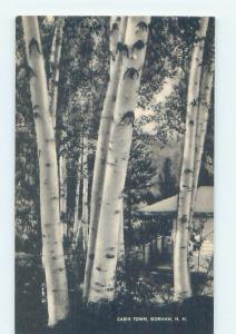 1940's CABIN BEHIND TREES AT CABIN TOWN MOTEL Gorham New Hampshire NH c4105