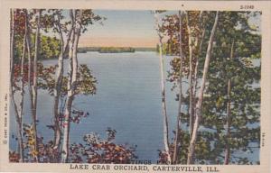 Illinois Greetings From Lake Crab Orchard Carterville Curteich