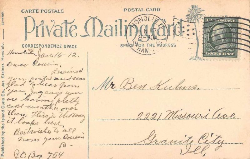 Kaniolani Park Hawaii Scenic View Private Mail Island Curio Postcard AA44053