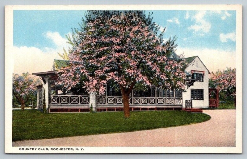 Country Club  Rochester  New York  Postcard