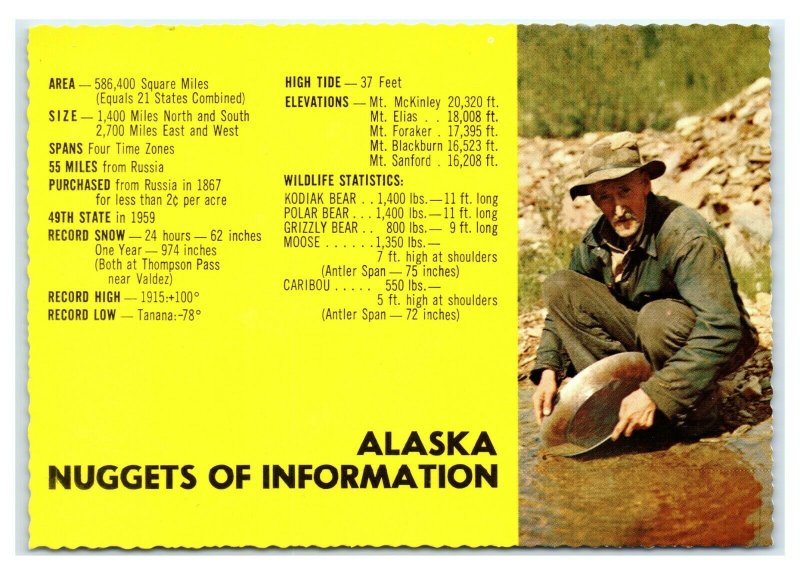 Postcard AK Alaska Nuggets of Information panning gold AJ4