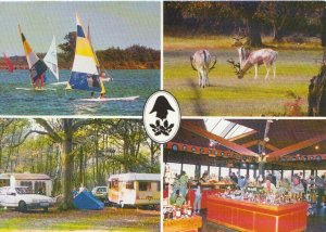 Berkshire Postcard - Views of Wellington Country Park - Riseley - Ref TZ5456