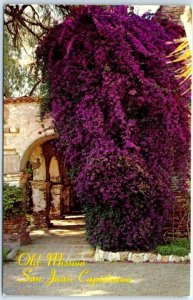 Postcard - Old Adobe Arches, Mission San Juan Capistrano, California, USA