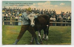 Cowboy Trying to Throw Steer Rodeo Pendleton Oregon Western 1910s postcard