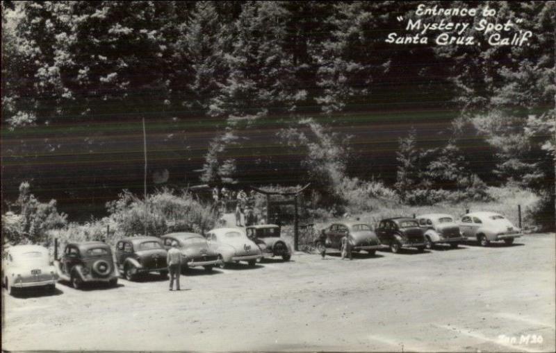 Santa Cruz CA Mystery Spot Real Photo Postcard #2