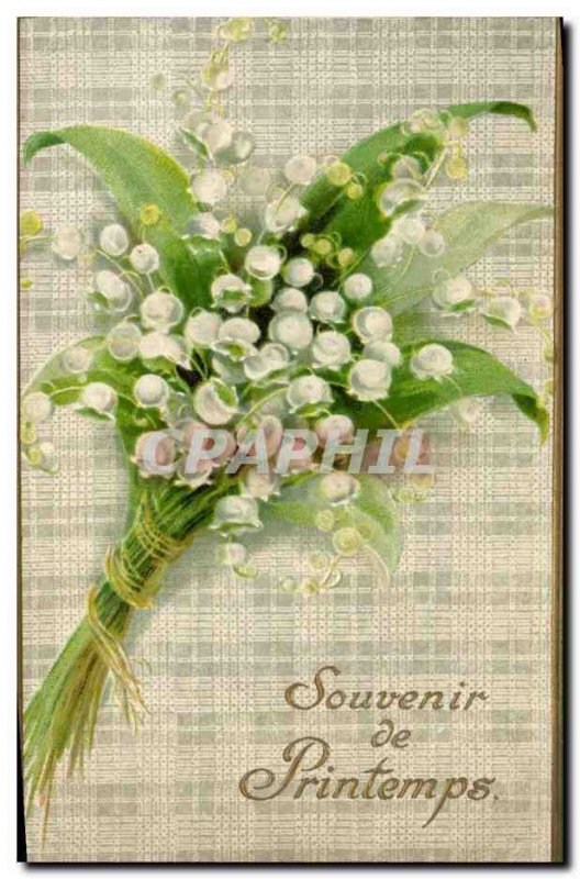 Old Postcard Fantasy Flowers Lily of the valley