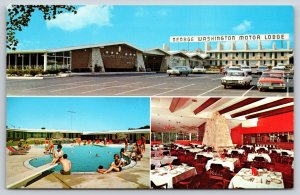 Roadside~Allentown Pennsylvania~George Washington Motor Lodge~Vintage Postcard