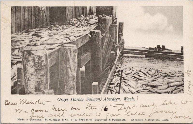 Aberdeen Washington Grays Harbor Salmon Fishery c1907 B.O. Riggs Co Postcard G80