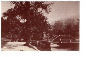 Wooden Bridge, Shenandoah Street, Harpers Ferry, West Virginia, 1880