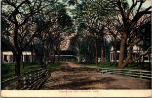 Postcard Chautauqua Park in Winfield, Kansas~131703