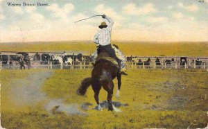 Cowboy Western Bronco Buster Horse 1910 postcard