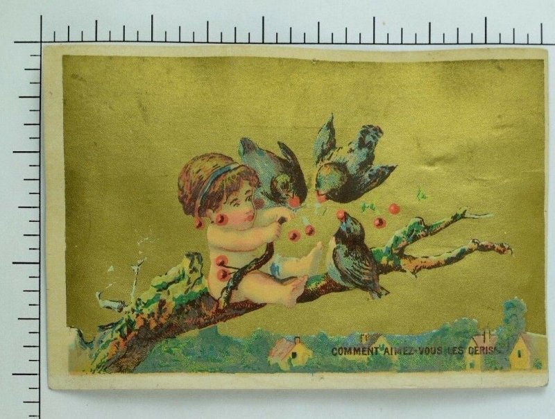 1881 Lancashire Insurance Co. Cherub Fairy Feeding Berries To Birds F59