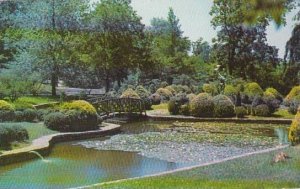 Rhode Island Providence Rustic Bridge Roger Williams Park