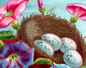 1880s-90s Dr. Miller's Family Medicine Quack Medicine #1 P166