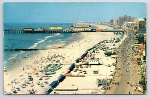 State View~Atlantic City NJ~Panoramic View~Pier~Vintage Postcard