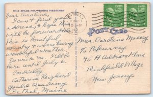 Greetings from NEWRY - Maine Postcard