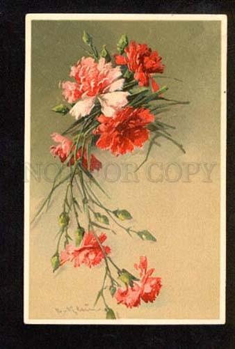 051406 CARNATION Flowers by C. KLEIN vintage TSN Publ. PC