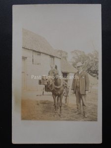 Portrait of GENTLEMAN WITH HORSE & TRAP Possible American Image Old RP Postcard