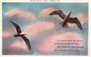 Vintage Postcard The Sea Gulls Birds Cloudy Skies in Miami Florida Fla.