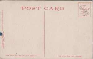 Palm Knoll Canyon Crest Park Redlands California Vintage Postcard C105