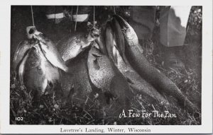 A Few For The Pan Lovetree's Landing Winter Wisconsin Vintage Postcard C088