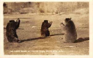 RPPC Three Bears, Indian Head, White Mts, New Hampshire c1920s Vintage Postcard