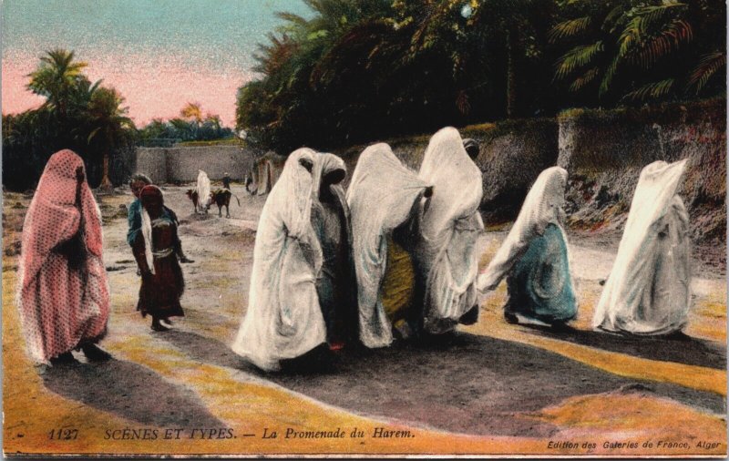 Algeria Scenes Et Types La Promenade du Harem Vintage Postcard C153