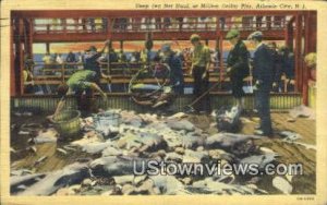 Deep Sea Net Haul, Million Dollar Pier - Atlantic City, New Jersey NJ Postcard
