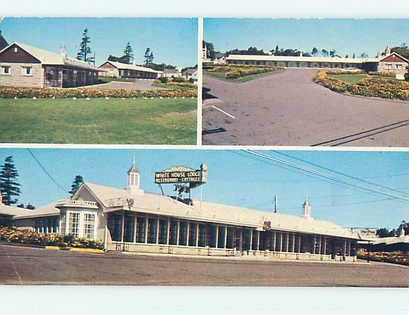 Unused Pre-1980 WHITE HOUSE MOTEL & RESTAURANT St. Saint John NB o0148