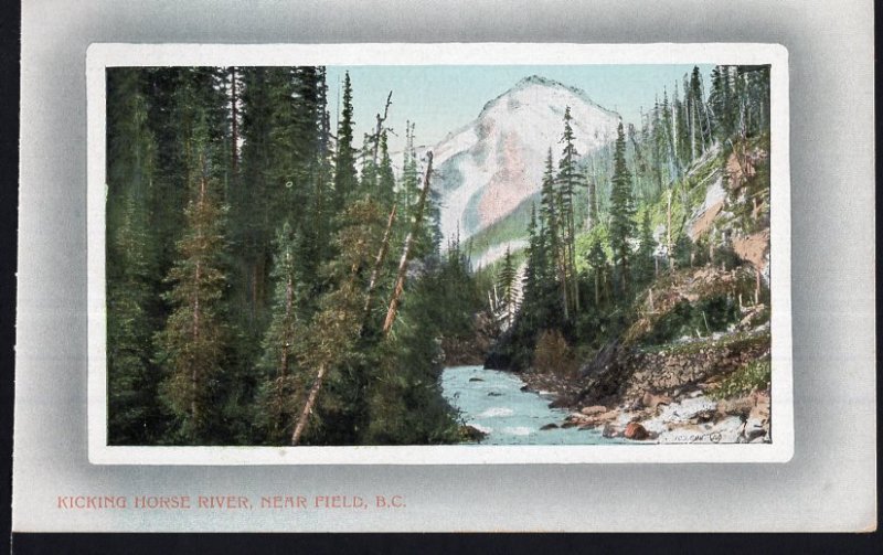 British Columbia ~ Kicking Horse River near FIELD 1900s Vintage - Divided Back