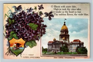 IL- Illinois, General Greetings, State Capital, Violets, Vintage c1909 Postcard
