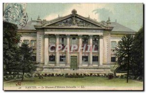 Nantes Old Postcard The Museum of Natural & # 39histoire