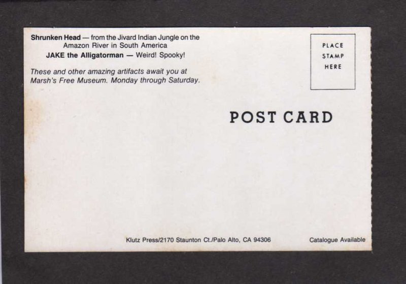 WA Marsh's Free Museum Store Alligator Man Long Beach Washington Postcard