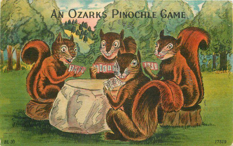 Blair Humor Squirrels Ozarks Pinochle Game Postcard Missouri Colorpicture 3383