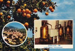 Machinery At Grasse Fragonard Perfumerie Factory French Postcard