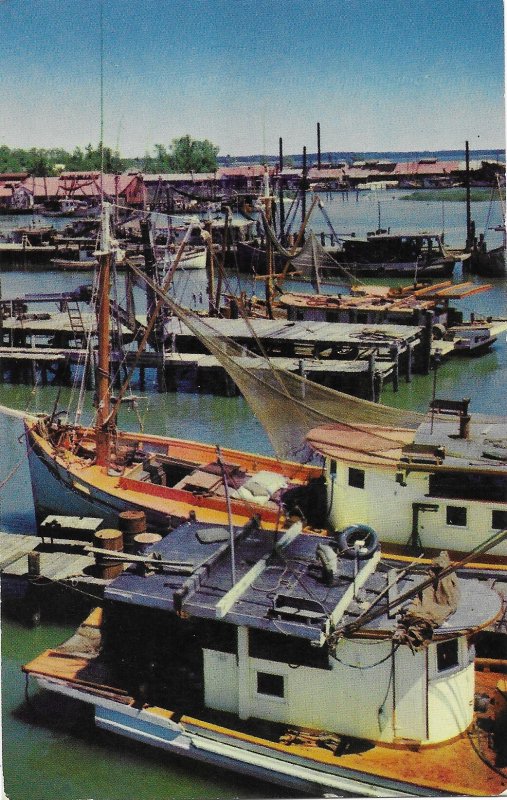 Shrimp Boats on the Gulf Coast