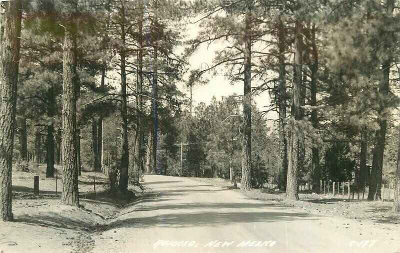 Ruidoso New Mexico Forest Highway 1940s Cook RPPC Photo Postcard 21-14005