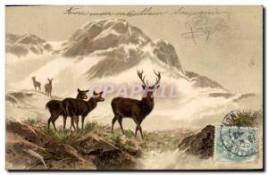 Old Postcard Deer Hunting Biches