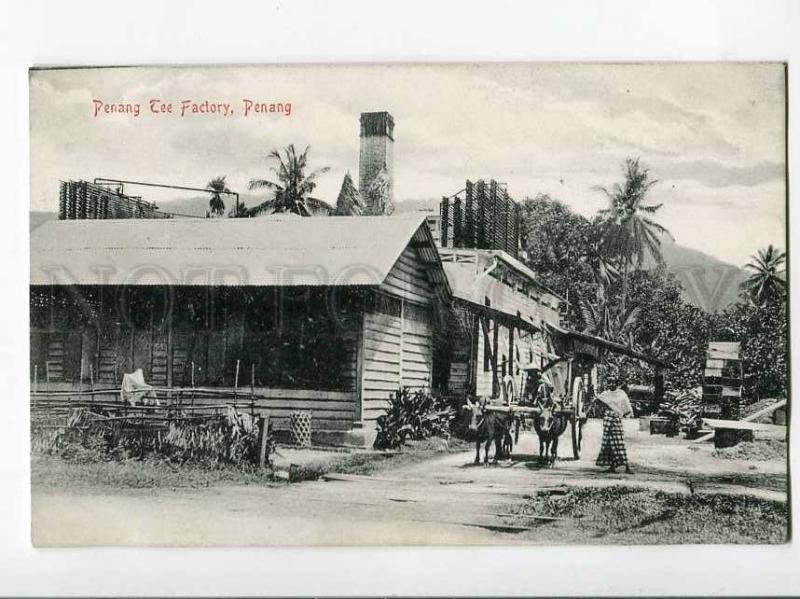 271012 Malaysia PENANG Tee Factory Vintage postcard