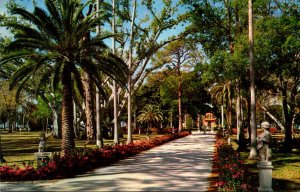 Florida Sarasota Ringling Residence Azaleas Along Drive