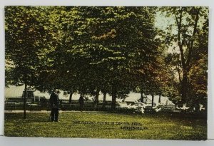 Harrisburg Pa Tame Flying Pigeons in Capitol Park Postcard P17
