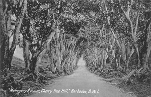 Mahogany Avenue Cherry Tree Hill Barbados West Indies Unused 