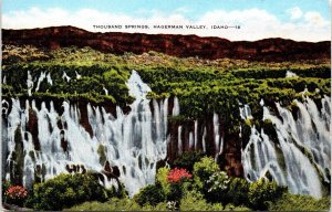 Thousand Springs Hagerman Valley Idaho Postcard 1951