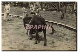 PHOTO CARD Bullfight Bullfight