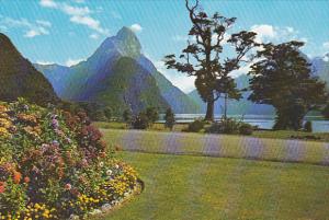 New Zealand View Of Mitre Peak From Milford Hotel