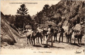 CPA Auvergne Paysage d'Auvergne FRANCE (1302313)