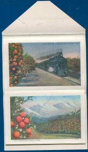 Thru the Orange Belt steam locomotive groves California travel postcard folder