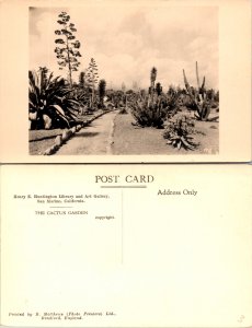 The Cactus Garden (11222