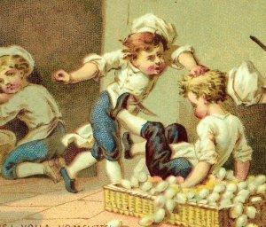 1870's-80's Hogg, Brown & Taylor Kids Chef Pushed Into Box of Eggs Card F78