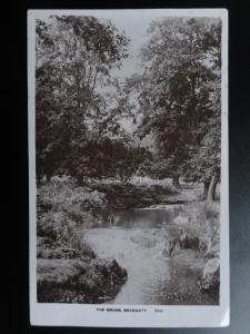 Leicestershire: BRADGATE The Brook c1925 RP - by W.Harriman of Woodhouse Eaves